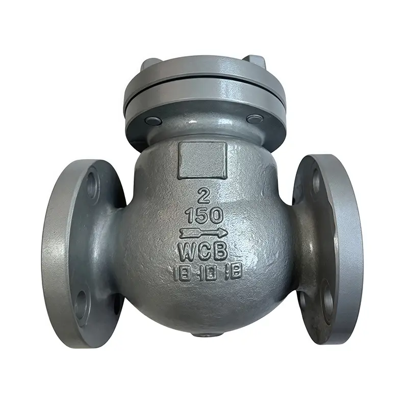 Injap Semak Standard Amerika WCB